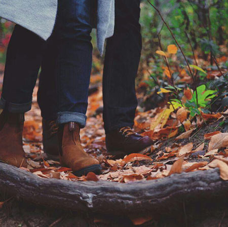 دانلود آهنگ کفتر پر طلایی حسین عامری